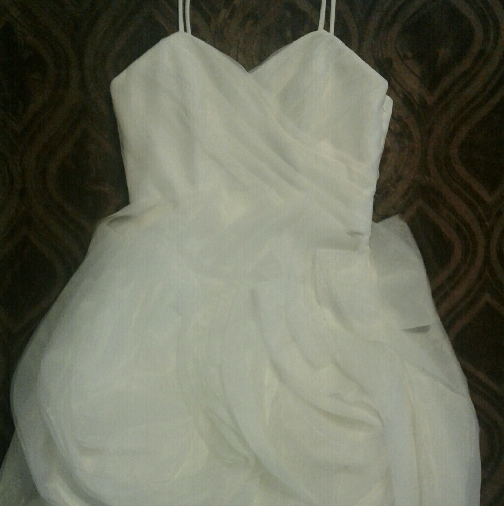 Watters and Waters Elegant Formal Petal Dress